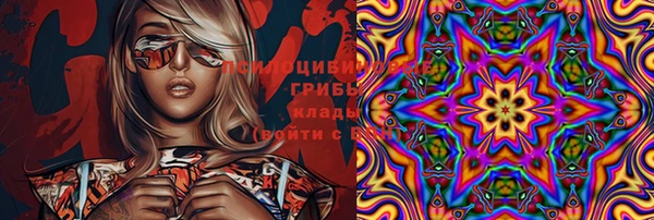 spice Алексин