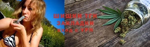 трава Аркадак