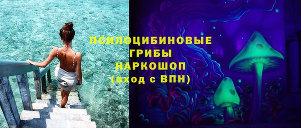 spice Алексин
