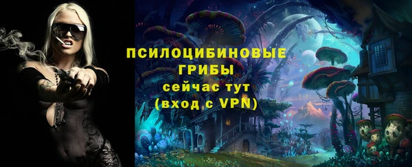spice Алексин